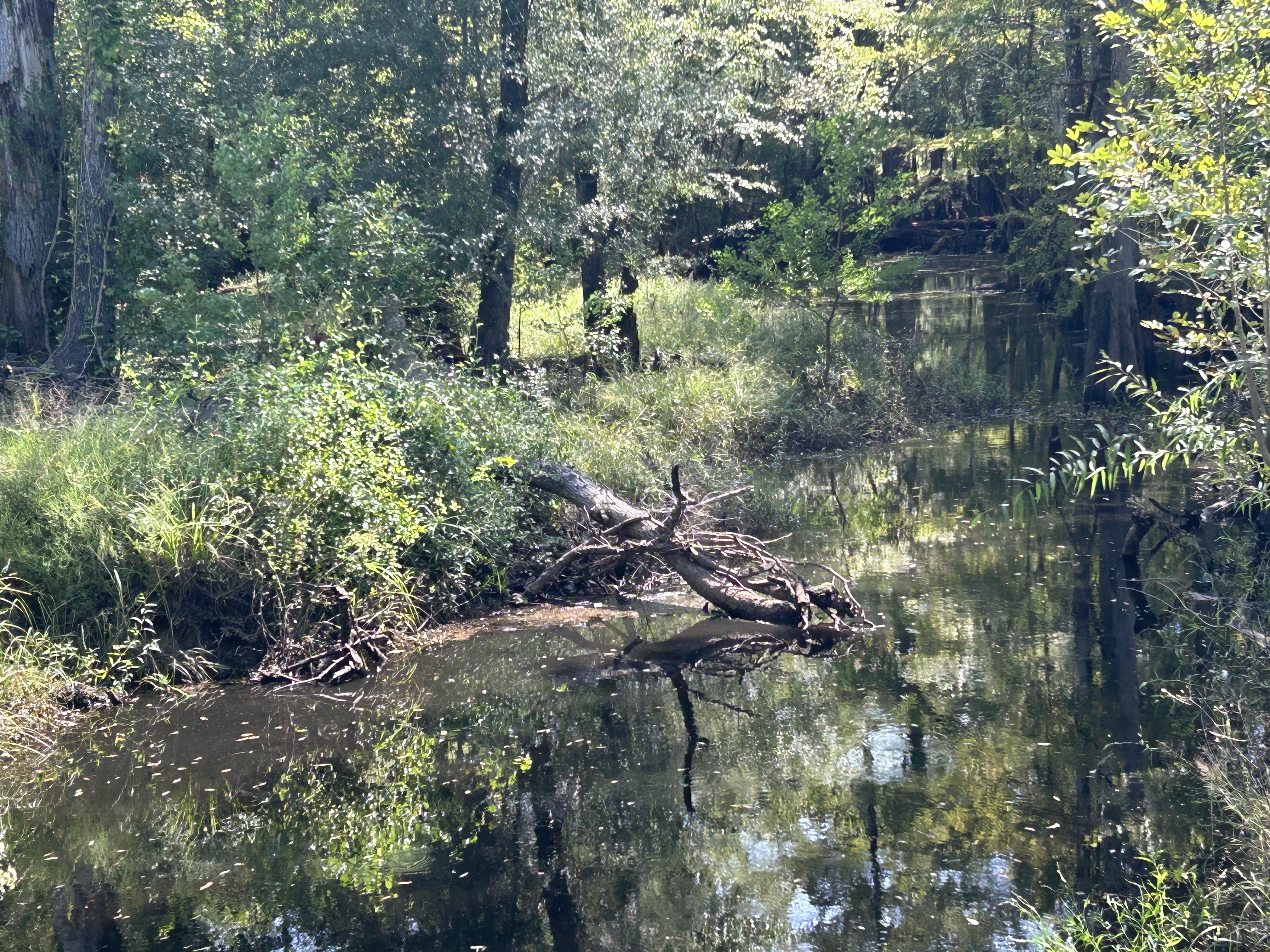 100604273 | Photo 29